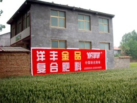 来宾如何让墙体广告展现最大化效果