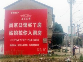 来宾墙体广告在乡镇、农村市场的媒体优势