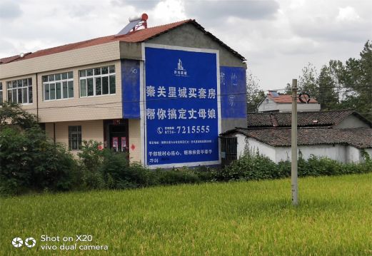 来宾决定墙体广告价格的因素有哪些?