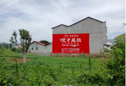来宾做墙体广告的意义